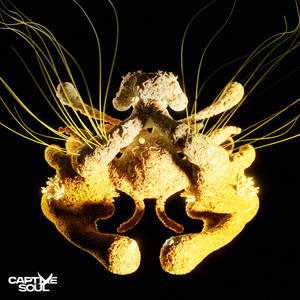 风骚欲女小穴视频
